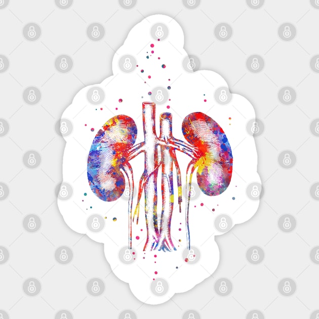 Kidney Sticker by RosaliArt